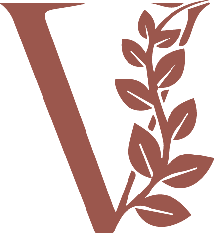 icon vevise