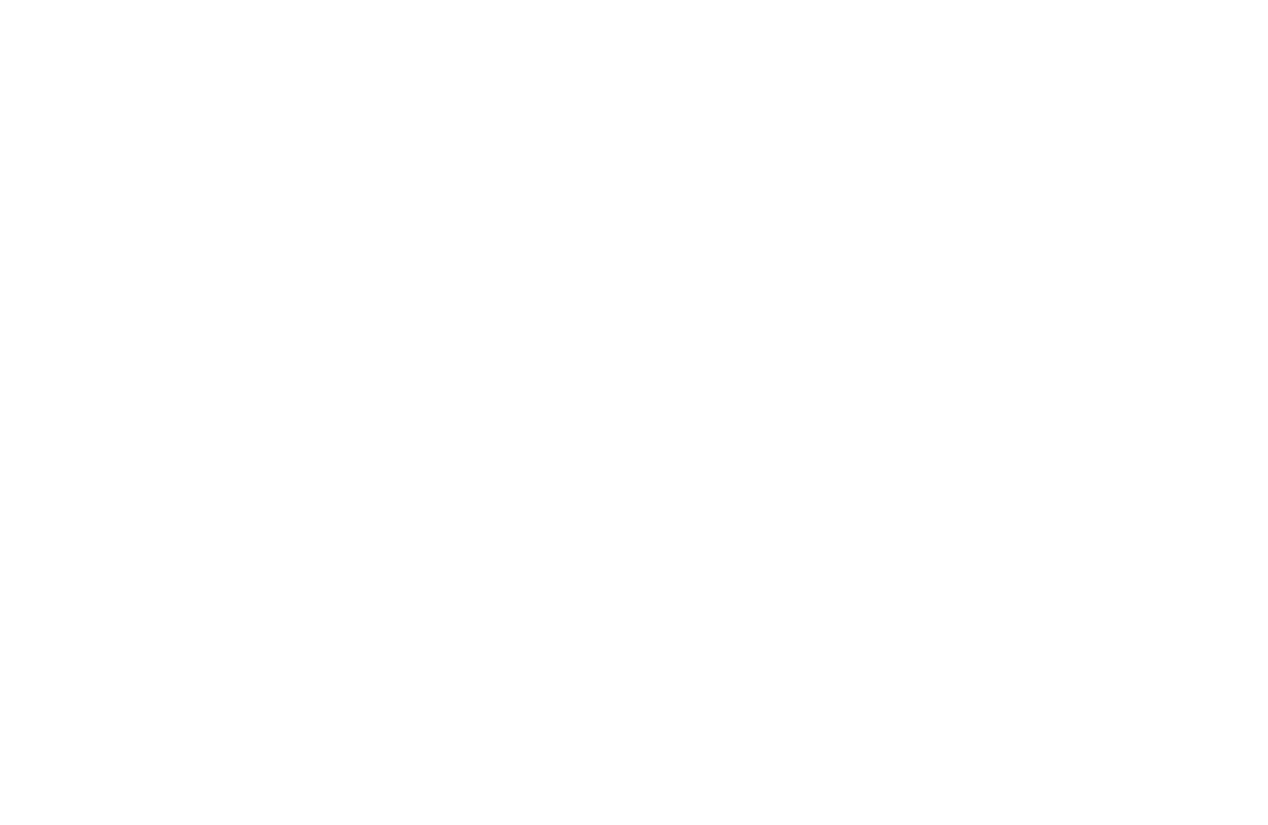 vevise logo-beyaz