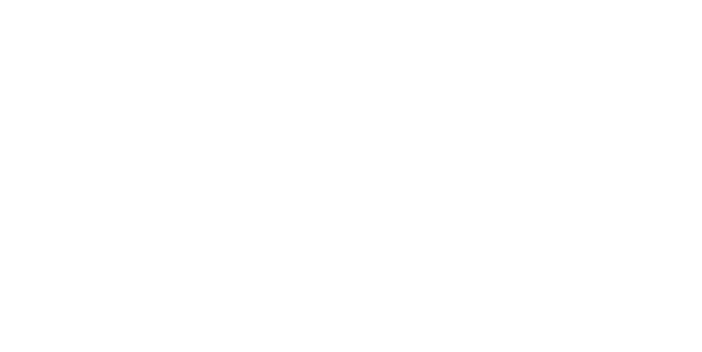 vevise-yeni-logo-dark